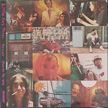 Load image into Gallery viewer, Dinosaur Jr - Little Fury Things