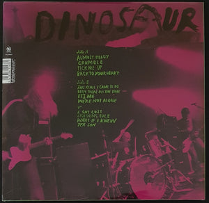 Dinosaur Jr - Beyond