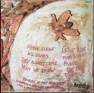 Dinosaur Jr - Bug