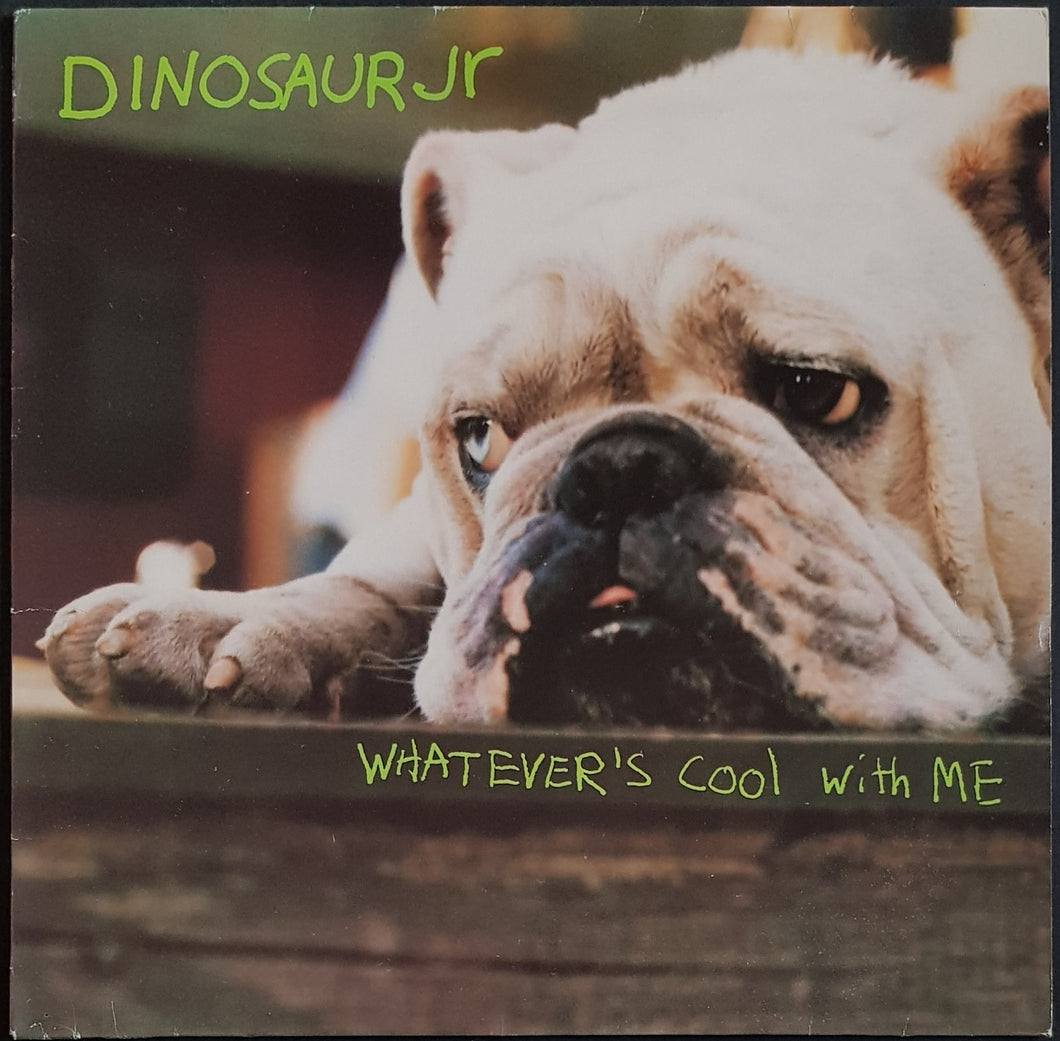 Dinosaur Jr - Whatever's Cool With Me