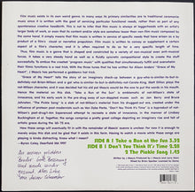 Load image into Gallery viewer, Dinosaur Jr - Take A Run At The Sun