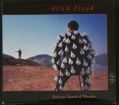 Pink Floyd - Delicate Sound Of Thunder