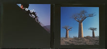 Load image into Gallery viewer, Pink Floyd - Delicate Sound Of Thunder