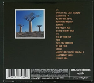 Pink Floyd - Delicate Sound Of Thunder