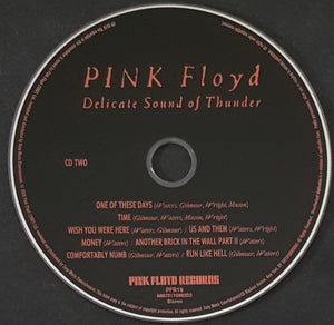 Pink Floyd - Delicate Sound Of Thunder