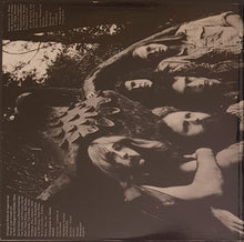 Load image into Gallery viewer, Steely Dan - Pretzel Logic