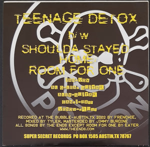 The Ends (US Punk) - Teenage Detox