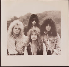 Load image into Gallery viewer, White Lion - Pride