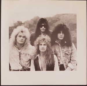 White Lion - Pride