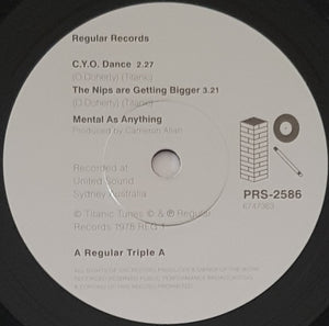 Mental As Anything - Plays At Your Party