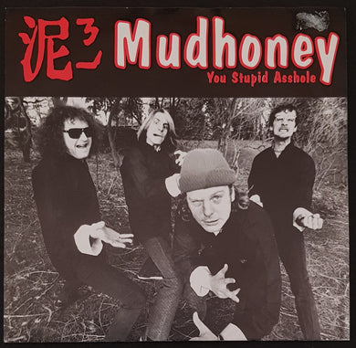 Mudhoney - You Stupid Asshole