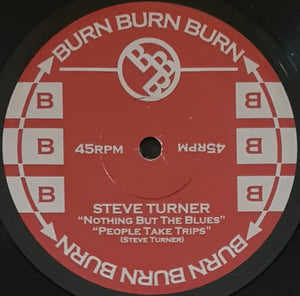 Mudhoney - Steve Turner - Nothing But The Blues