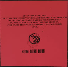 Load image into Gallery viewer, Mudhoney - Steve Turner - Nothing But The Blues