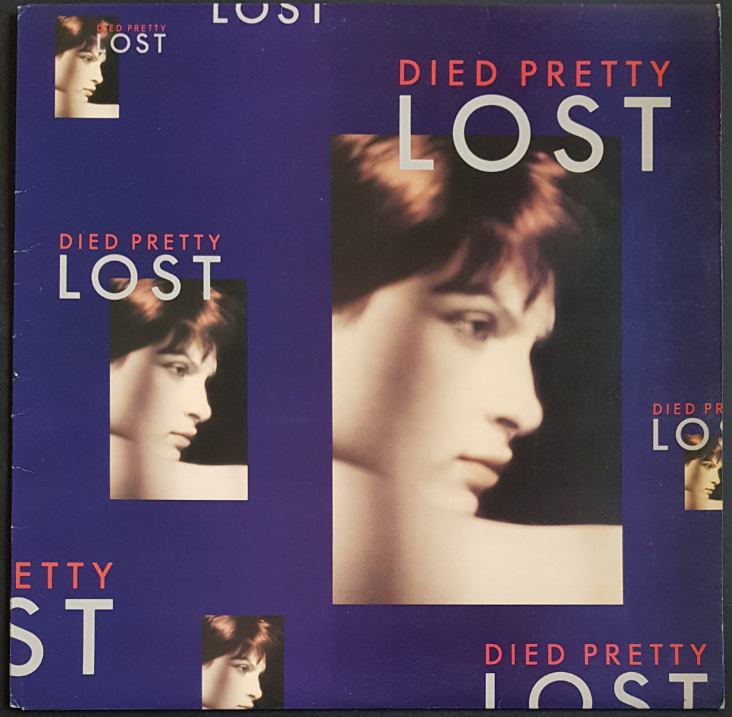 Died Pretty - Lost