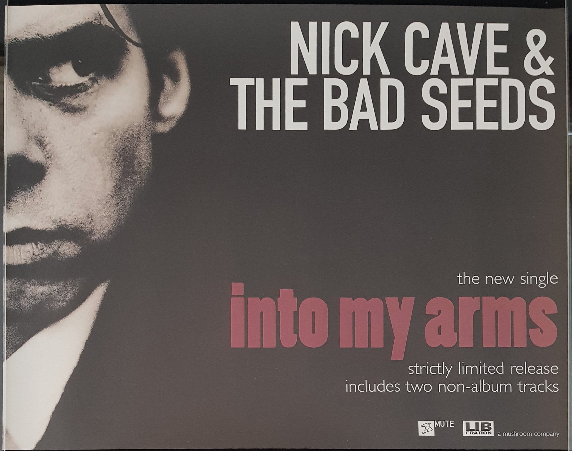 Into My Arms Covers