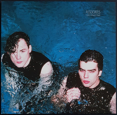 Associates - Fourth Drawer Down