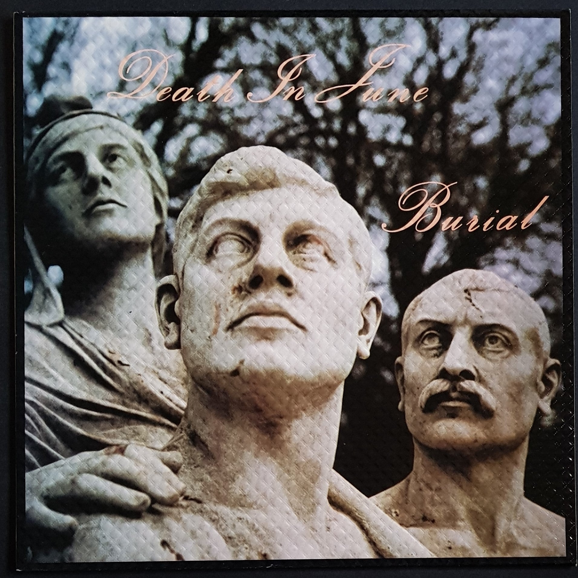 Death In June - Burial - Pink Vinyl – Vicious Sloth Collectables