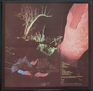 Echo & The Bunnymen - Crocodiles