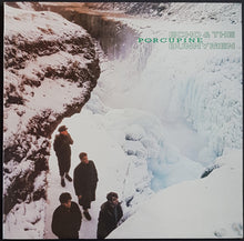 Load image into Gallery viewer, Echo &amp; The Bunnymen - Porcupine