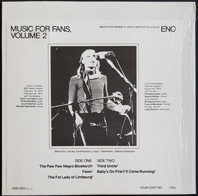 Brian Eno - Music For Fans, Volume 2