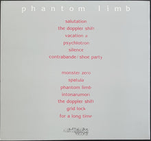 Load image into Gallery viewer, Bomis Prendin - Phantom Limb