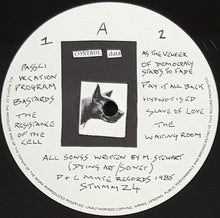 Load image into Gallery viewer, Stewart, Mark - As The Veneer Of Democracy Starts To Fade