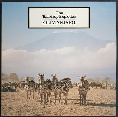 Teardrop Explodes - Kilimanjaro
