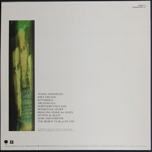 Wild Swans - Bringing Home The Ashes