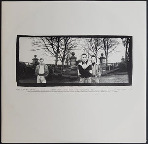 Wild Swans - Bringing Home The Ashes