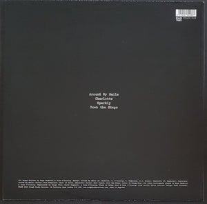Hope Sandoval & The Warm Inventions - At The Doorway Again