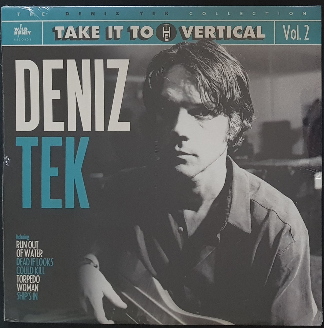 Deniz Tek - Take It To The Vertical