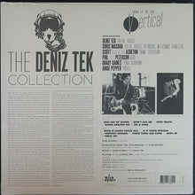 Load image into Gallery viewer, Deniz Tek - Take It To The Vertical