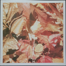 Load image into Gallery viewer, Nick Heyward - Postcards From Home