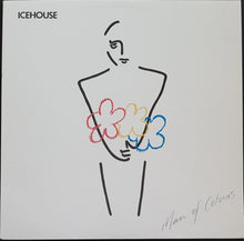 Load image into Gallery viewer, Icehouse - Man Of Colours