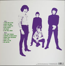 Load image into Gallery viewer, Stems - Mushroom Soup The Citadel Years