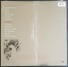 Load image into Gallery viewer, Jon Spencer Blues Explosion - Orange