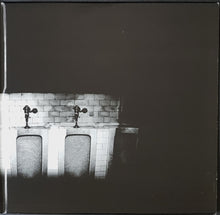 Load image into Gallery viewer, 20 Miles - Twenty Miles