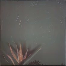 Load image into Gallery viewer, Shellac - Terraform