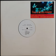 Load image into Gallery viewer, Jon Spencer Blues Explosion - This Is Blues Power!