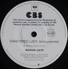 Load image into Gallery viewer, Marvin Gaye - Sanctified Lady