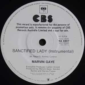 Marvin Gaye - Sanctified Lady