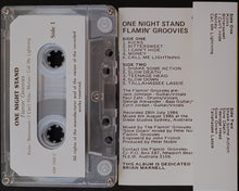Load image into Gallery viewer, Flamin&#39; Groovies - One Night Stand