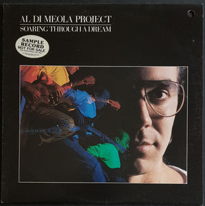 Al Di Meola - Soaring Through A Dream