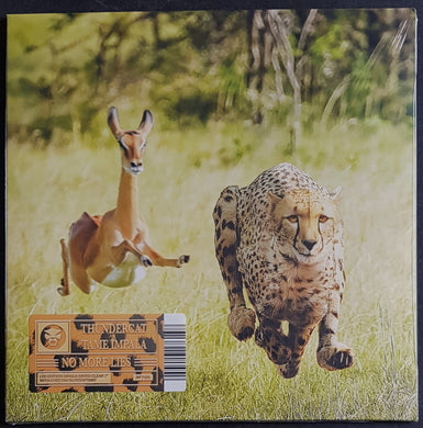Tame Impala & Thundercat- No More Lies