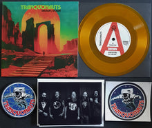 Load image into Gallery viewer, Seedy Jeezus - Tranquonauts 2 - Gold Vinyl
