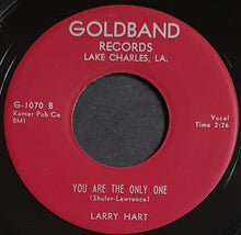 Load image into Gallery viewer, Hart, Larry - I&#39;m Just A Mender