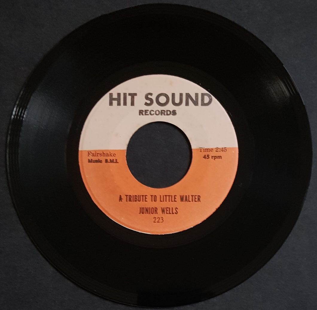 Junior Wells - A Tribute To Little Walter