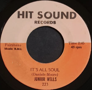 Junior Wells - A Tribute To Little Walter