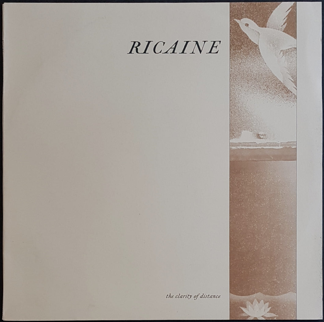 Ricaine - The Clarity Of Distance