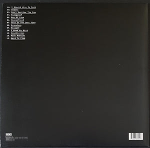 National, The - Trouble Will Find Me